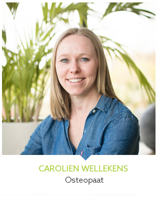 Carolien Wellekens